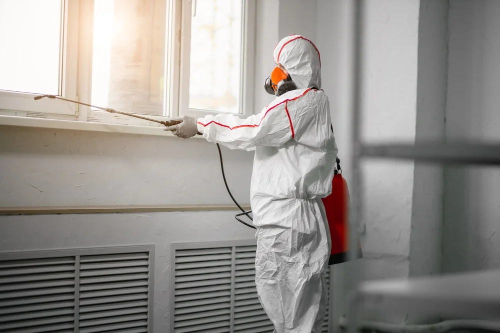 Professional mold remediation services in Steep Falls, ME